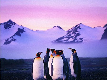 南极旅游性价比 北京旅游质量好推荐